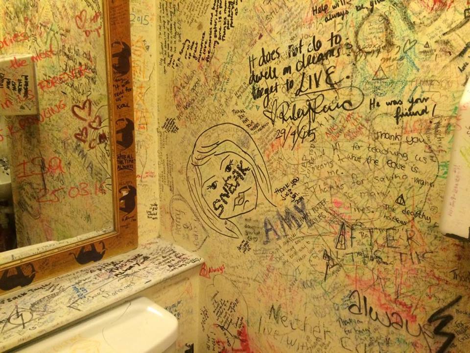 "I'd get sleazy for Ron Weasley" is definitely one of the best quotes on the walls...