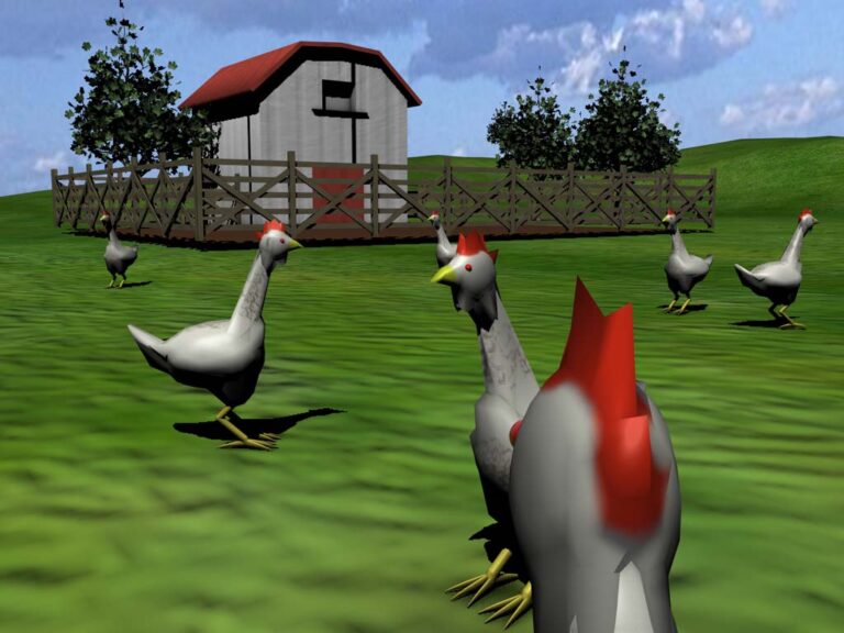 Chickens to Experience 'FreeRange' Life through VR? Chattr