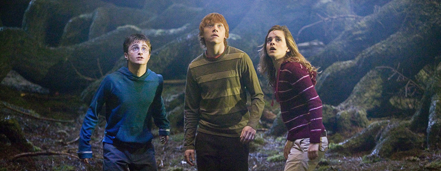 Harry Potter Trio