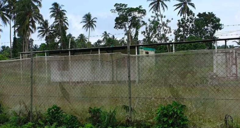 Manus Island 