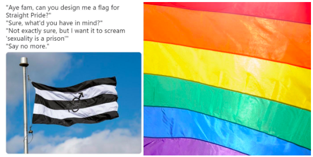 straight pride meme