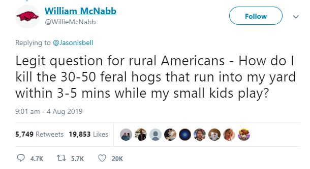 feral hog original tweet