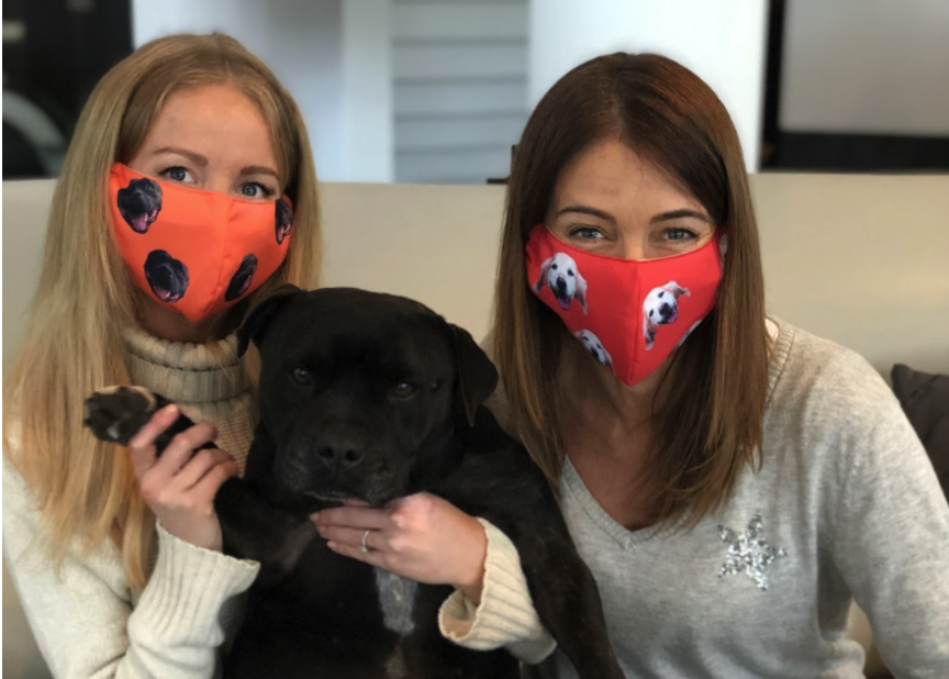 wearing pet face masks with cute puppy