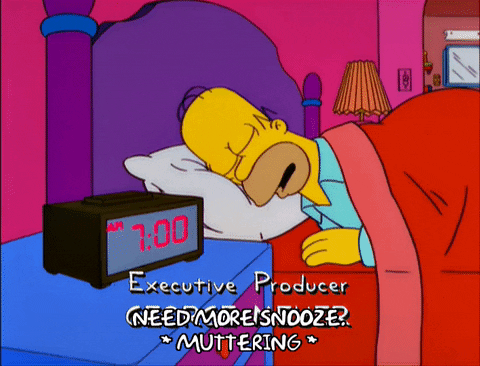 Homer sleeping 