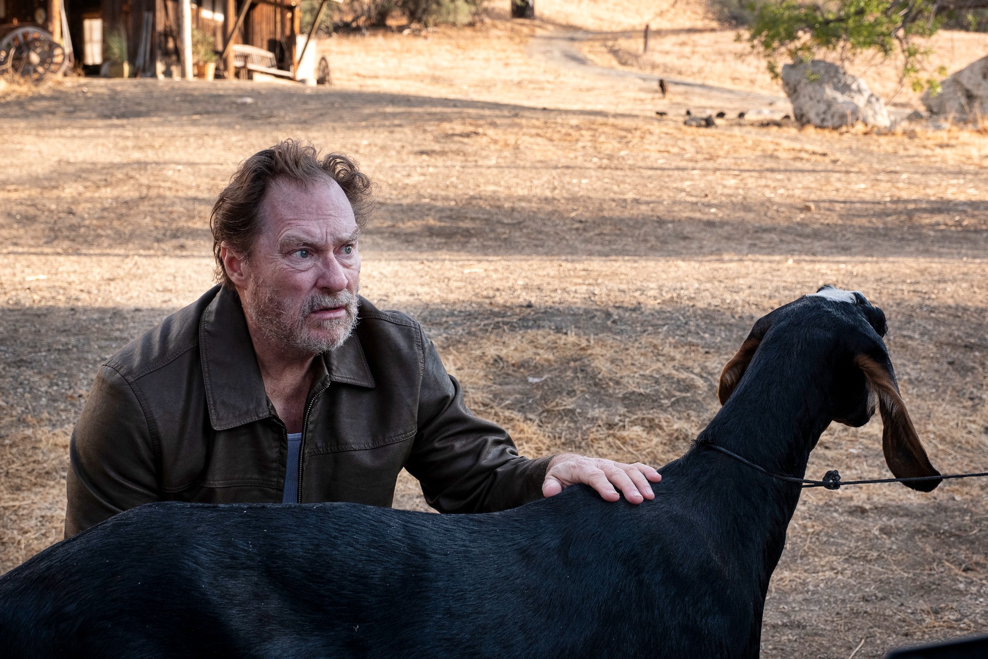 Barry star Stephen Root