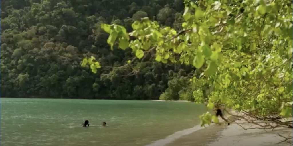 Million Dollar Island episode 5 pic