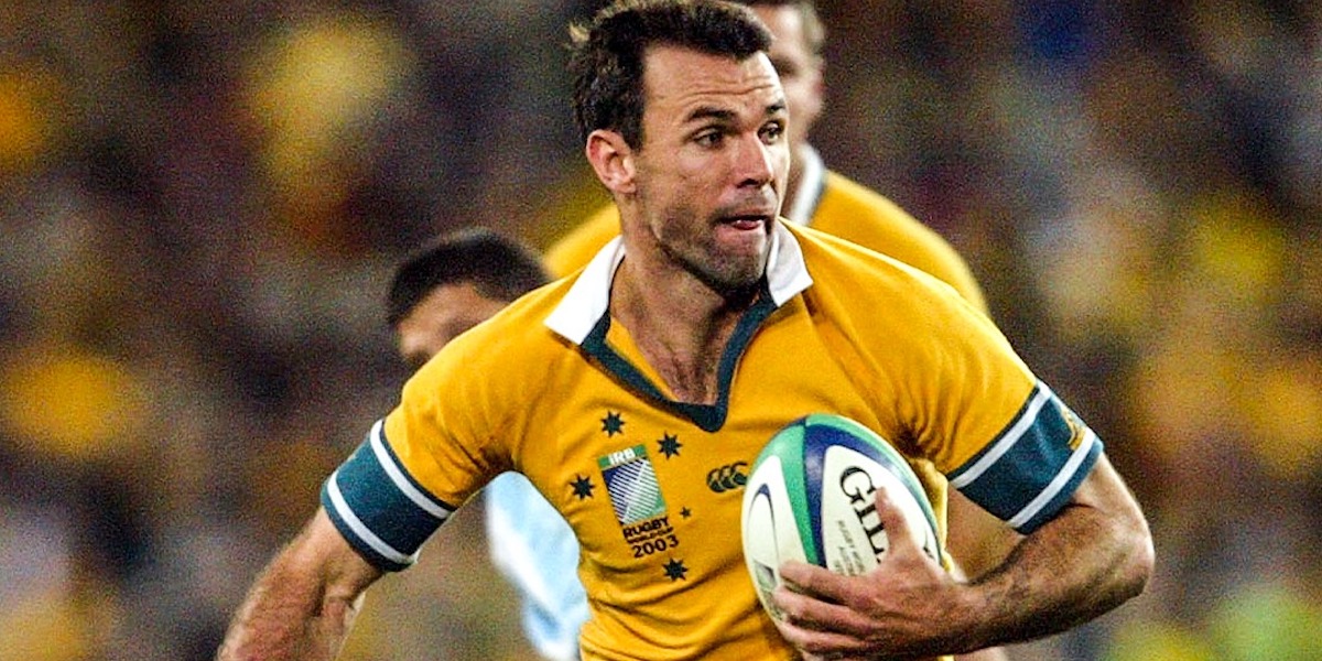 Wallabies at The Bledisloe Cup