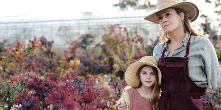 Loved the book? Here's how The Lost Flowers of Alice Hart series is different