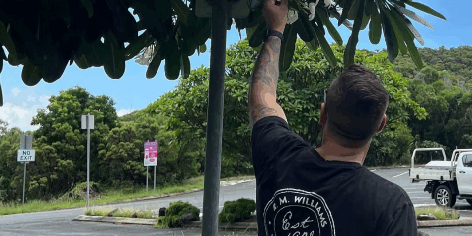 Man with tattoos picking flowers from Farmer Wants A Wife's Jadee's Instagram account