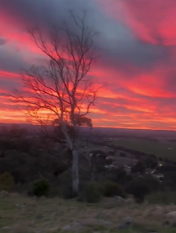 Cowra