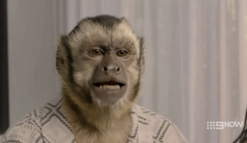 The Block used AI to turn contestants into their spirit animals.